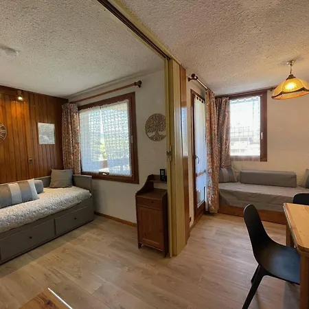 4 Pers, Proche Pistes, Animaux Admis, Wifi - Fr-1-356-556 *