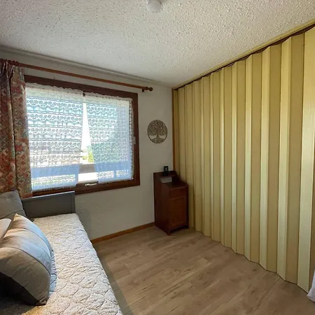 4 Pers, Proche Pistes, Animaux Admis, Wifi - Fr-1-356-556